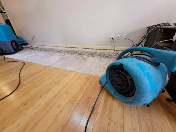 Reliable Basement Flood Cleanup contractor in Quaker Hill, CT by Hirex Water Damage